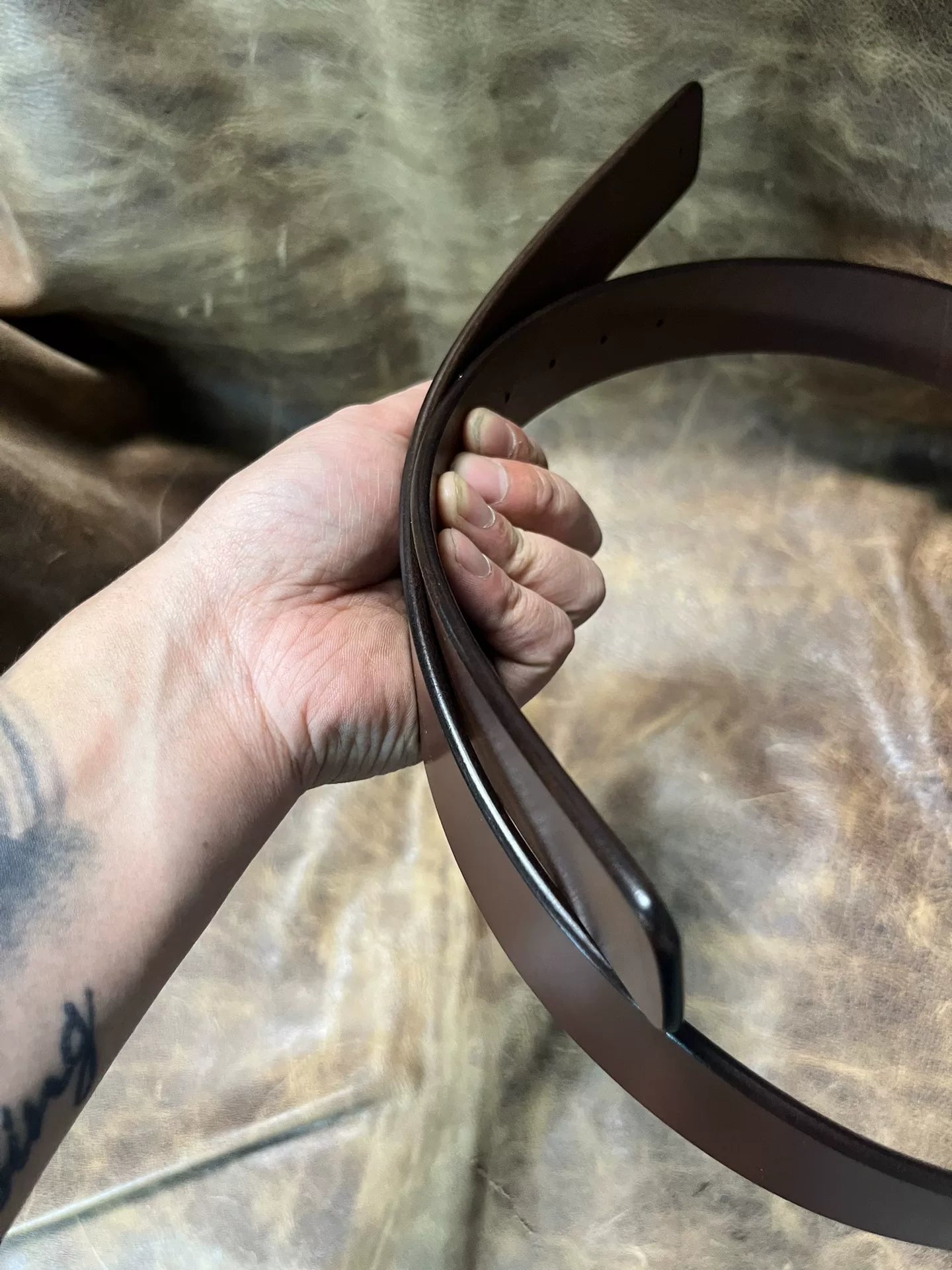TWS British Bridle — Guaranteed Authentic, Edge- and Back-Sealed