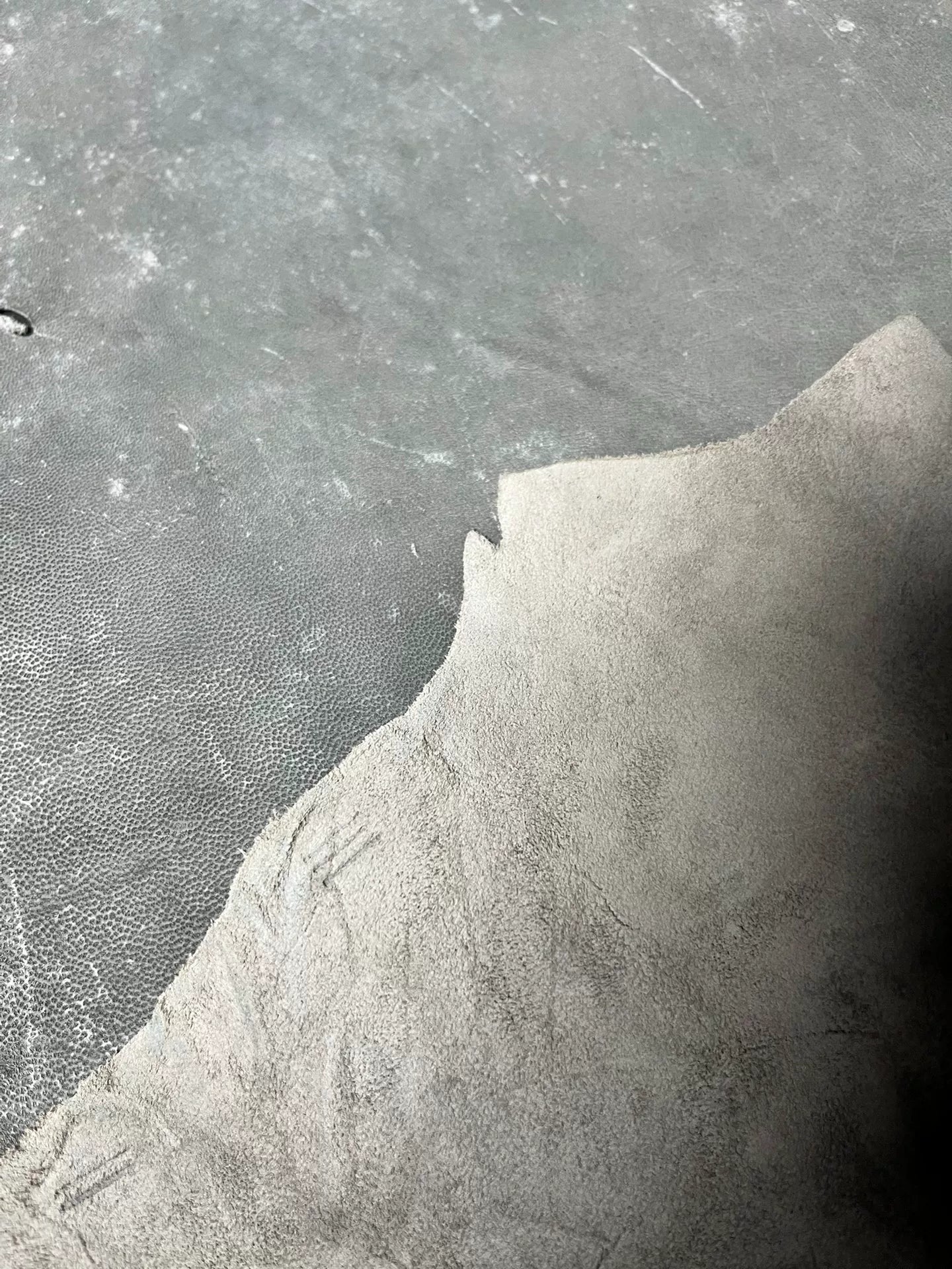 Camel skin, original color, total length 210 cm, width indescribable