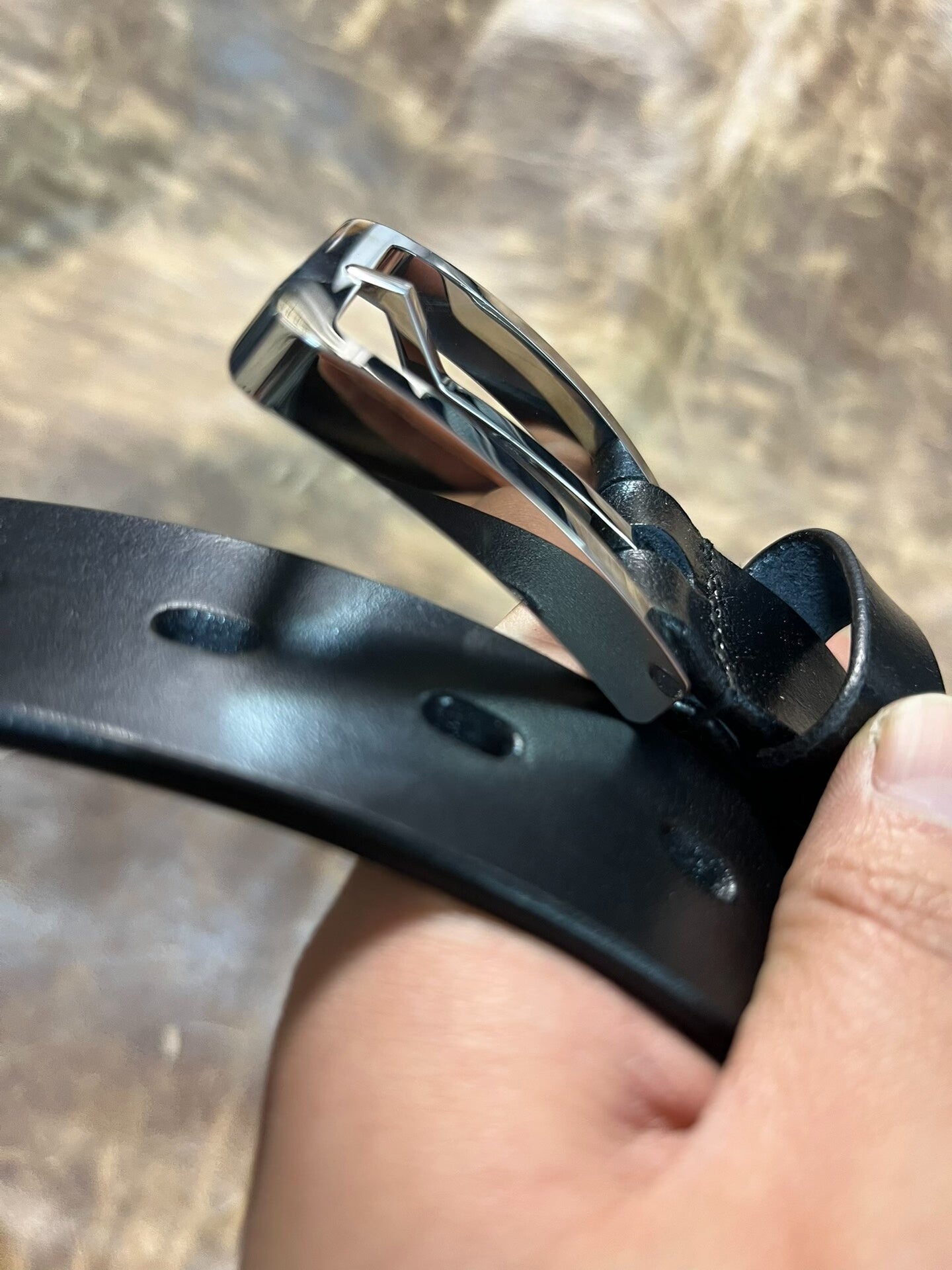 TWS Thomas Bridle Leather with Genuine Muchen Buckle — 316L Polished