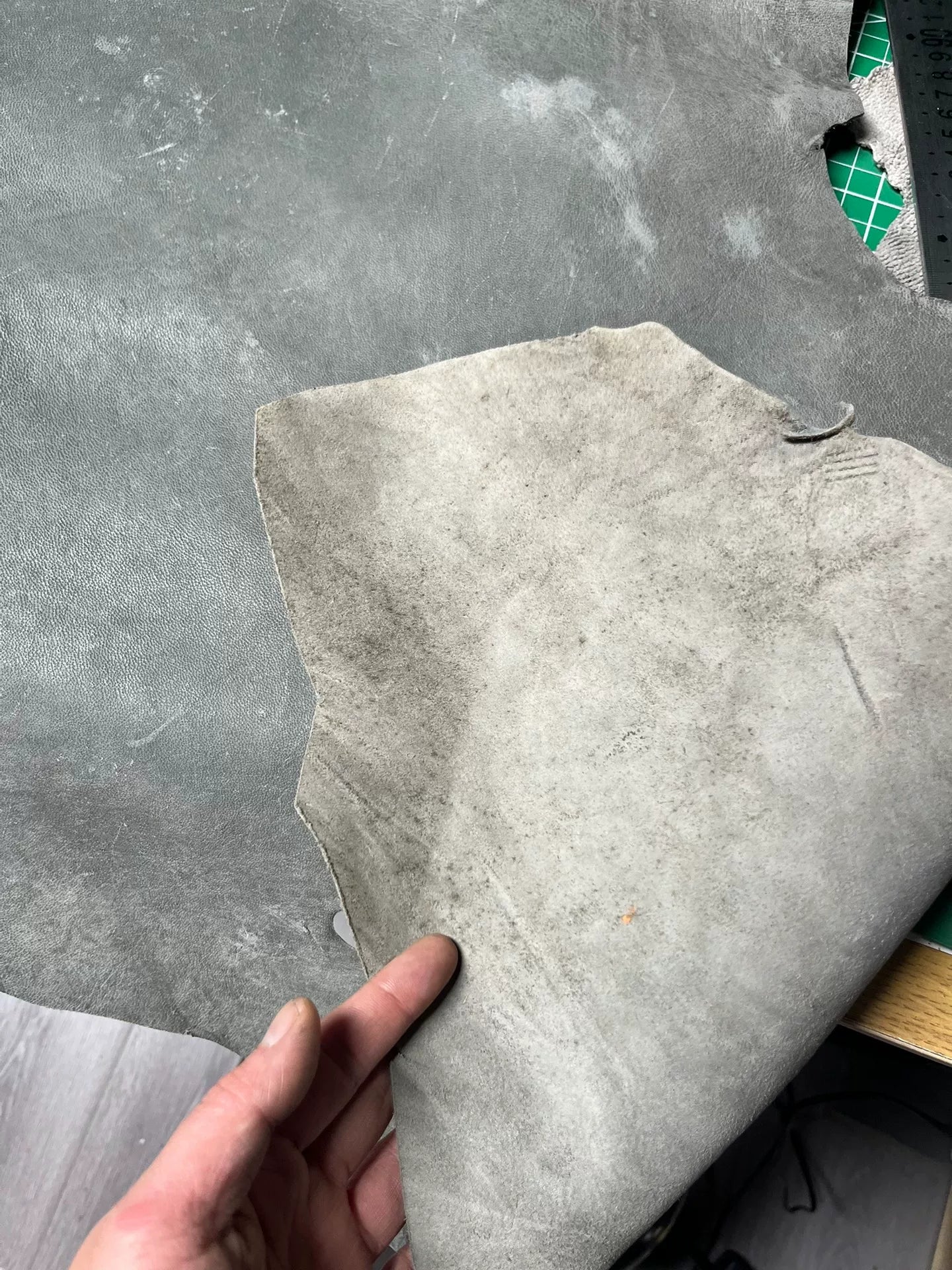 Camel skin, original color, total length 210 cm, width indescribable