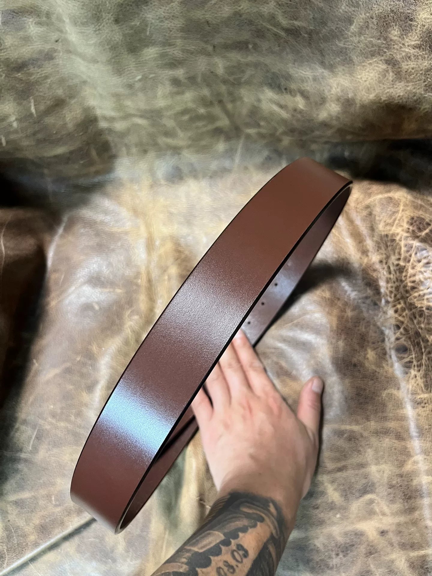 TWS British Bridle — Guaranteed Authentic, Edge- and Back-Sealed