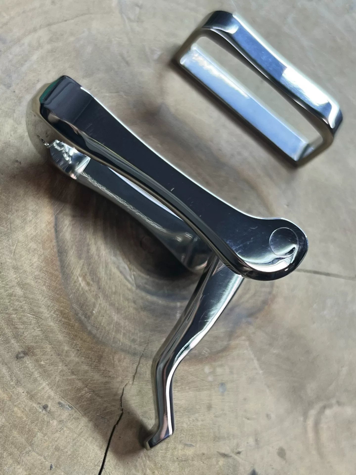 Gadfly belt buckle