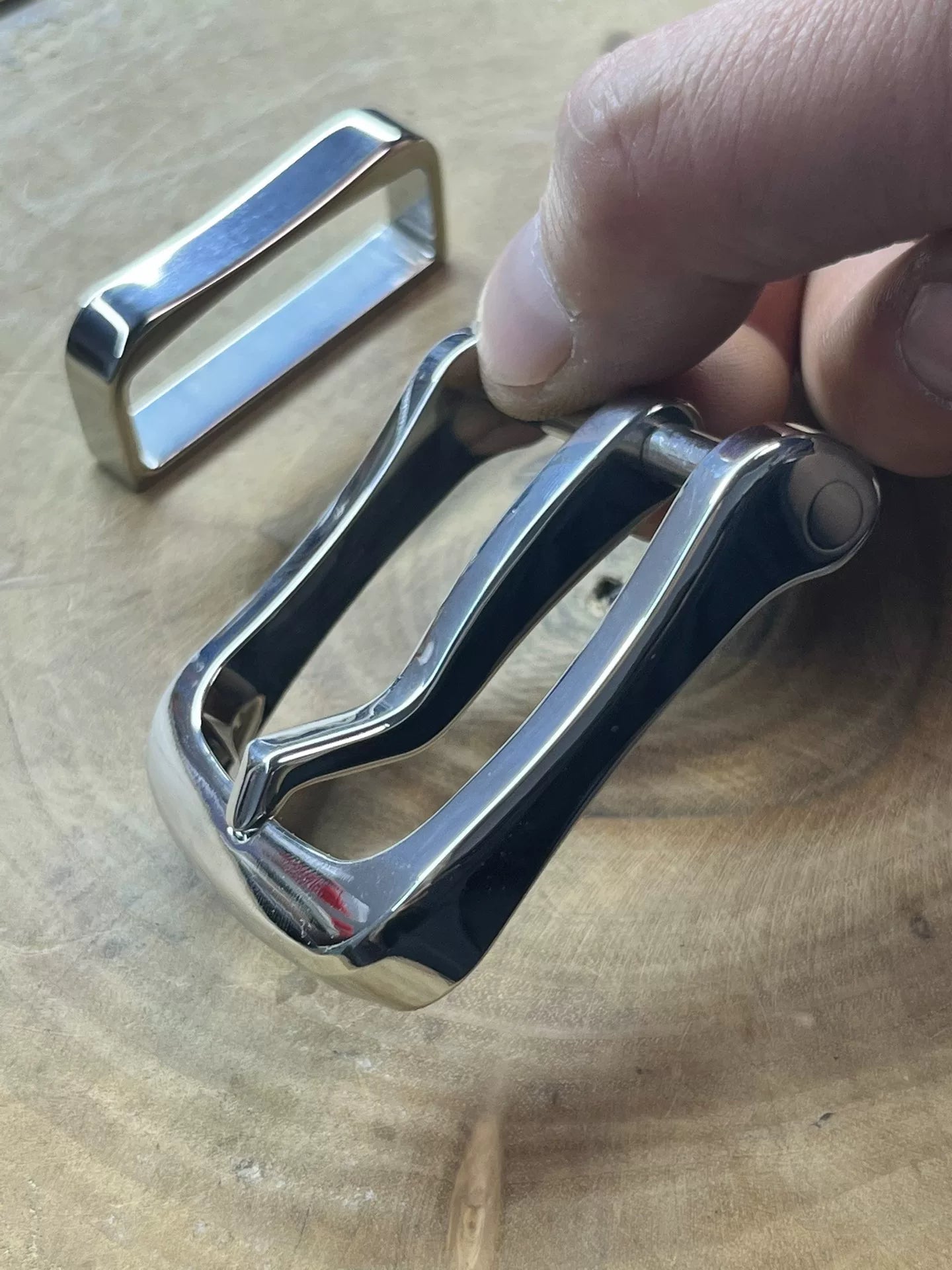 Gadfly belt buckle